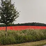 Apartman Landpension Zum Schweizerberg
