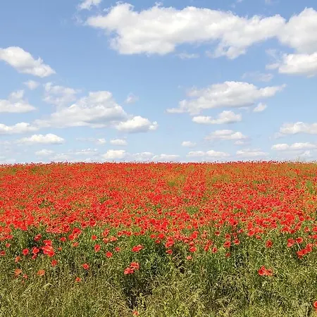 شقة Landpension Zum Schweizerberg Neugrimnitz