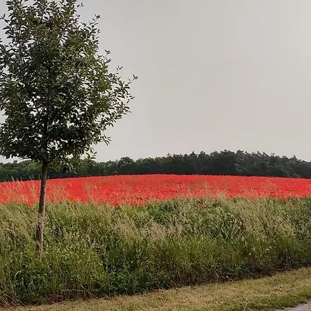 شقة Landpension Zum Schweizerberg
