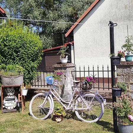 Landpension Zum Schweizerberg * Neugrimnitz