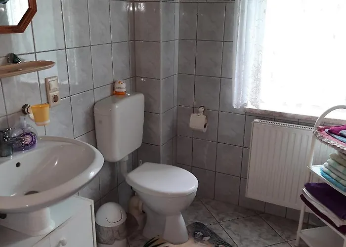 Landpension Zum Schweizerberg Neugrimnitz