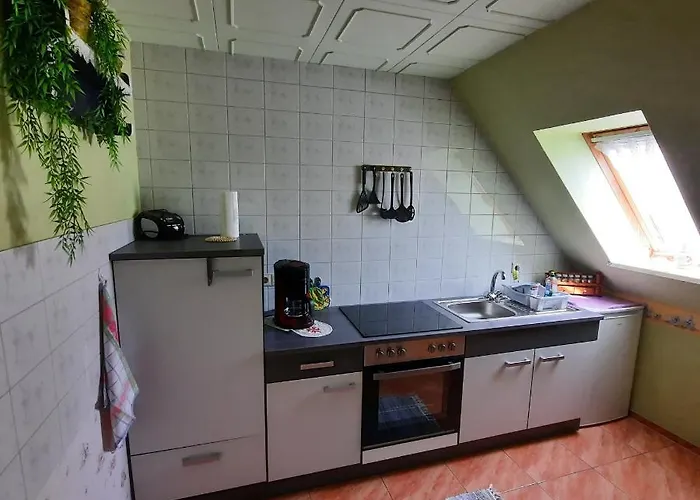 Landpension Zum Schweizerberg * Neugrimnitz