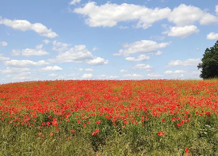 Lägenhet Landpension Zum Schweizerberg Neugrimnitz