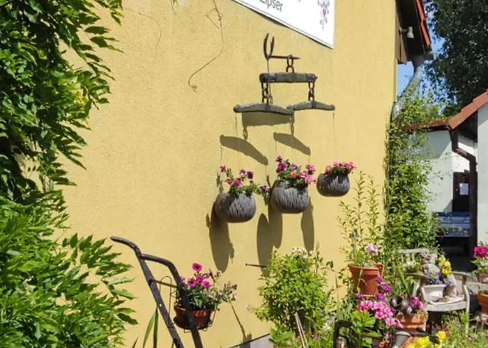 Landpension Zum Schweizerberg * Neugrimnitz