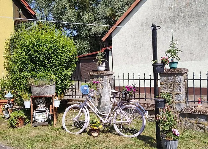 Landpension Zum Schweizerberg * Neugrimnitz