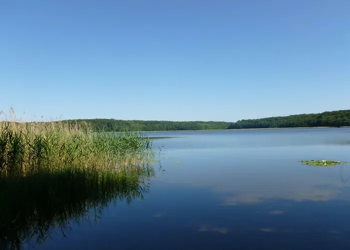 Landpension Zum Schweizerberg Lägenhet *