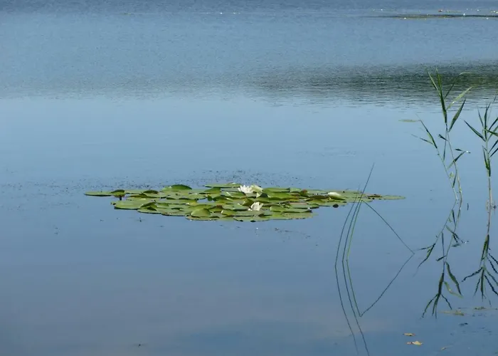 Lägenhet Landpension Zum Schweizerberg