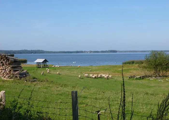 Landpension Zum Schweizerberg Lägenhet *